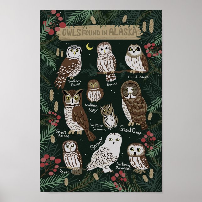 The Owls found in Alaska Poster (Front)