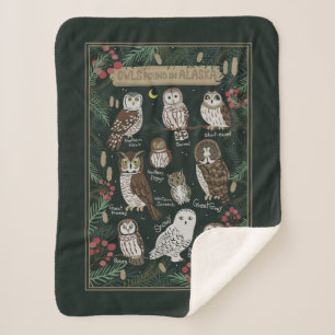 The Owls Found in Alaska Sherpa Blanket