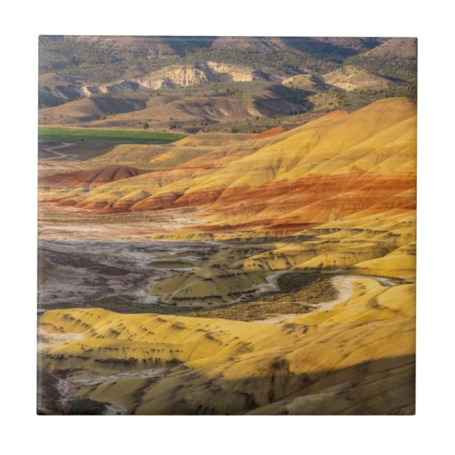 The Painted Hills In The John Day Fossil Beds 3 Tile (Front)