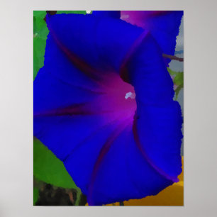The Painted Morning Glory Poster