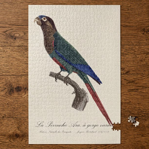 The Painted Parakeet, Pyrrhura Picta Jigsaw Puzzle