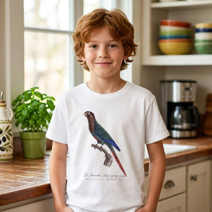 The Painted Parakeet, Pyrrhura Picta T-Shirt