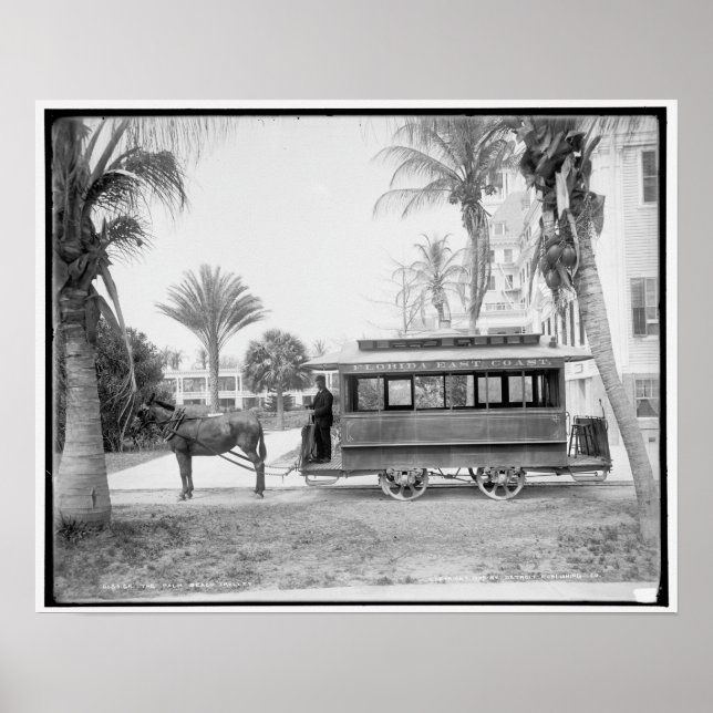 The Palm Beach trolley Poster (Front)
