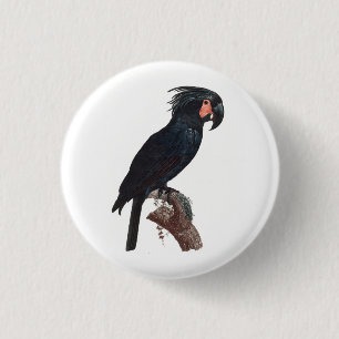 The Palm Cockatoo, Probosciger aterrimus Parrot 1 Inch Round Button