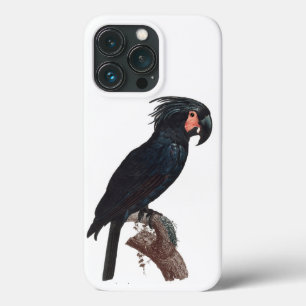 The Palm Cockatoo, Probosciger aterrimus Parrot iPhone 13 Pro Case