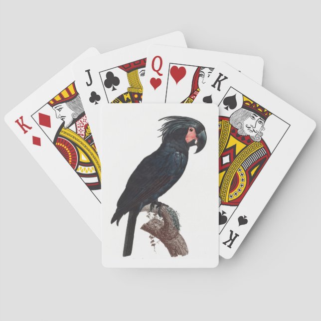 The Palm Cockatoo, Probosciger aterrimus Parrot Playing Cards (Back)