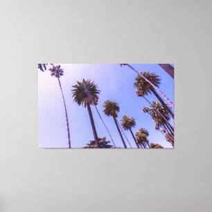 The Palms - Canvas Print