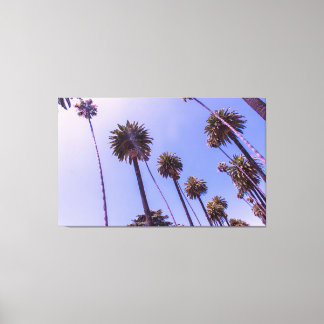 The Palms  - Canvas Print