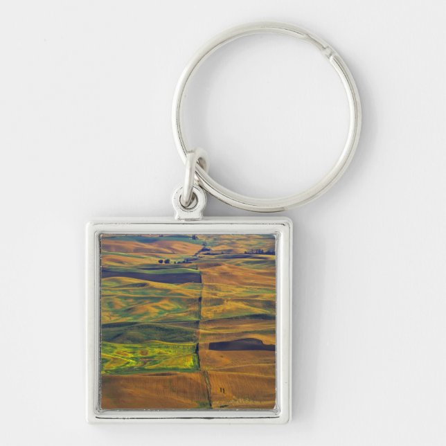 The Palouse from Steptoe Butte, Colfax, Keychain (Front)