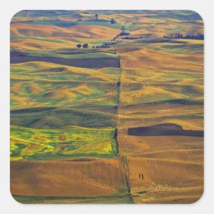 The Palouse from Steptoe Butte, Colfax, Square Sticker