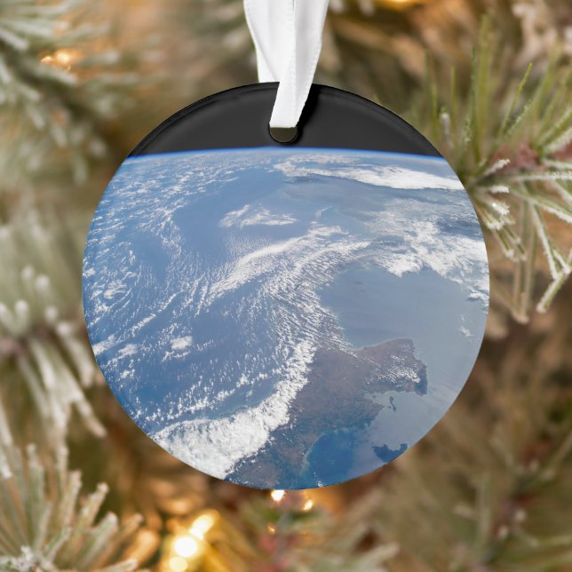 The Panama Canal. Ornament (Tree)