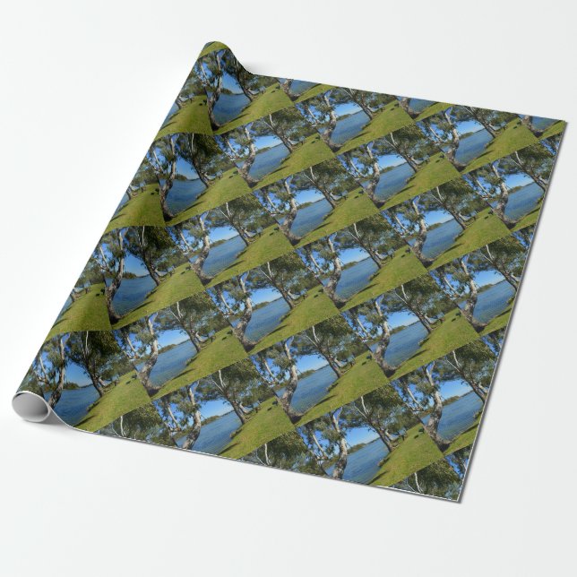 The Park Bench, Berri, South Australia, Wrapping Paper (Unrolled)