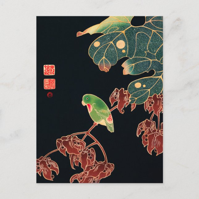 The Paroquet Colourful Bird Japanese illustration Postcard (Front)