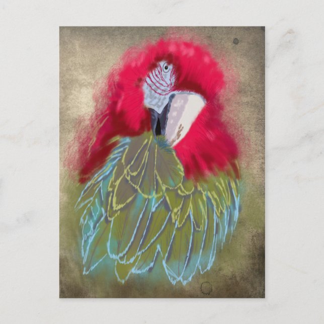 The Parrot - Postcard (Front)