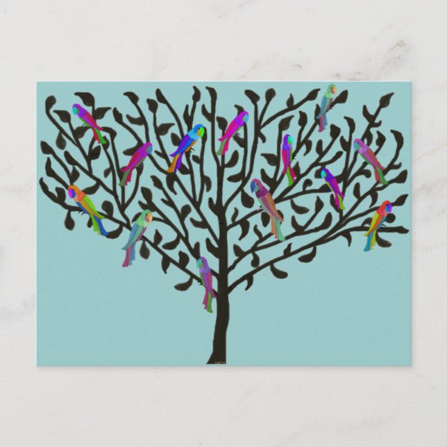 The Parrot Tree postcard (Front)