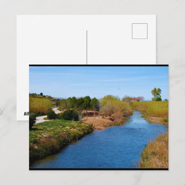 The Path Along the Túria River Postcard (Front/Back)