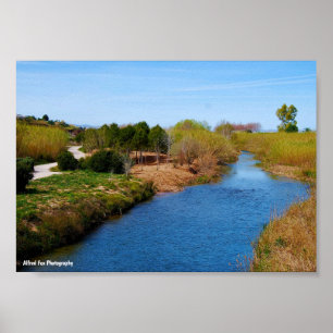 The Path Along the Túria River Poster