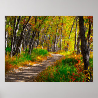The Path Poster