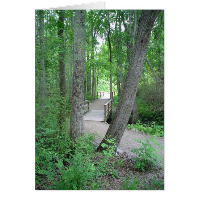 The Path Rarely Travelled (Front)