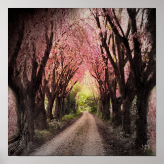 The Path to Spring Street, by Don DePaola Poster