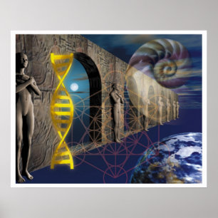 The Pathway of Evolution Poster