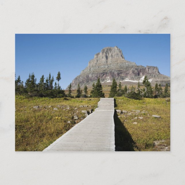 The pathway to the view of Hidden Lake Postcard (Front)