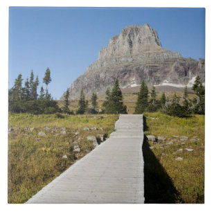 The pathway to the view of Hidden Lake Tile