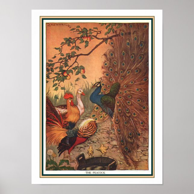 "The Peacock" Aesop Fable Print ca. 1919 (Front)
