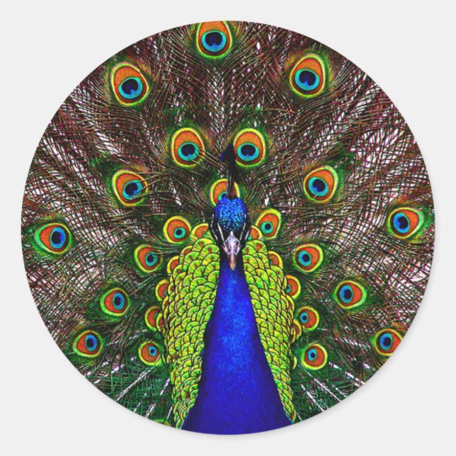 The Peacock Classic Round Sticker (Front)