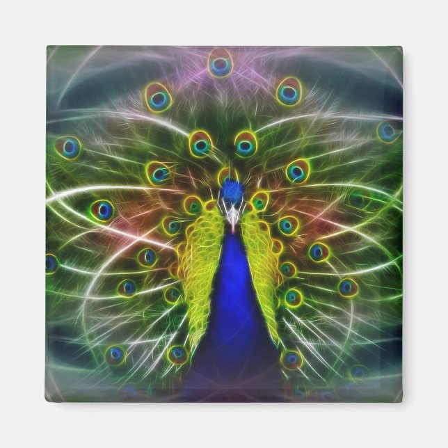 The Peacock Dreamcatcher Magnet (Front)