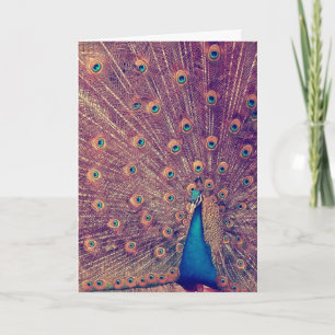 The Peacock Greeting Card