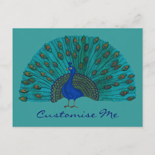 The Peacock Postcard