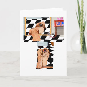 The Pekingese And The Mirror Card
