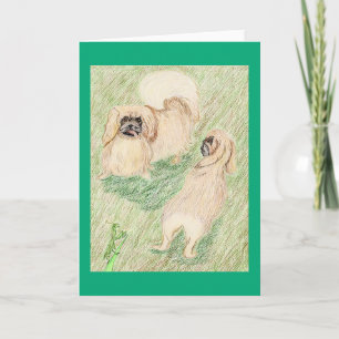 The Pekingese And The Praying Mantis Card