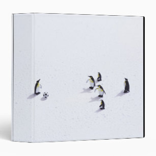 The penguins playing soccer binder