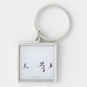 The penguins playing soccer keychain