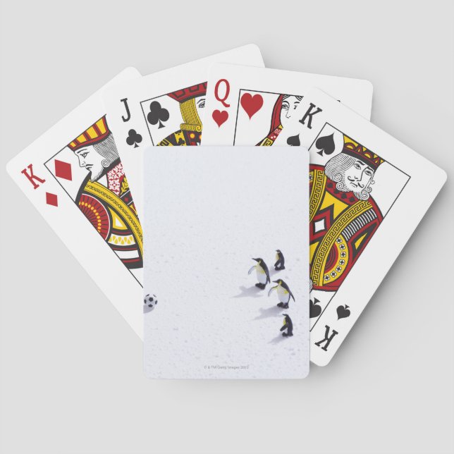 The penguins playing soccer playing cards (Back)