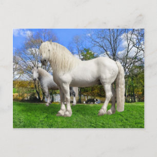 "The Percherons" Postcard