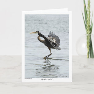 The Perfect Landing Blue Heron Gifts Holiday Card