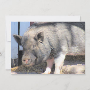 The Perfect Little Piggy - Flat Card