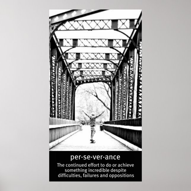 The Perfect Longboard Perseverance Poster (Front)