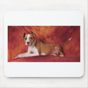 The perfect Pit Bull pose Mouse Pad