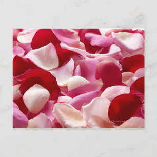 The petal which was spread postcard
