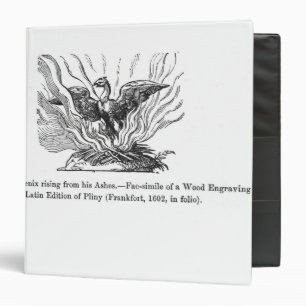 The Phoenix rising from his ashes Binder