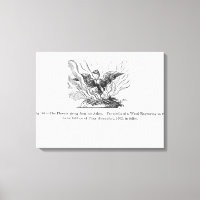 The Phoenix rising from his ashes