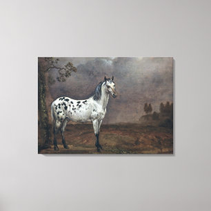 The Piebald Horse, 1653 Canvas Print