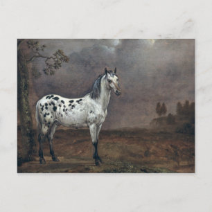 The Piebald Horse, 1653 Postcard