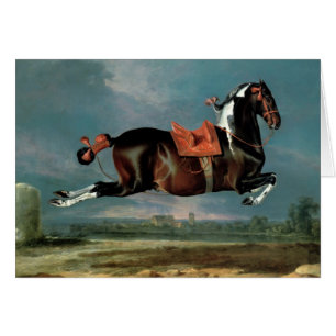 The piebald horse 'Cehero' rearing