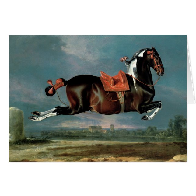 The piebald horse 'Cehero' rearing (Front Horizontal)