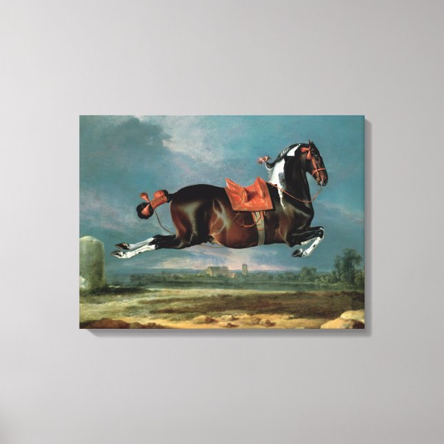 The piebald horse 'Cehero' rearing Canvas Print (Front)